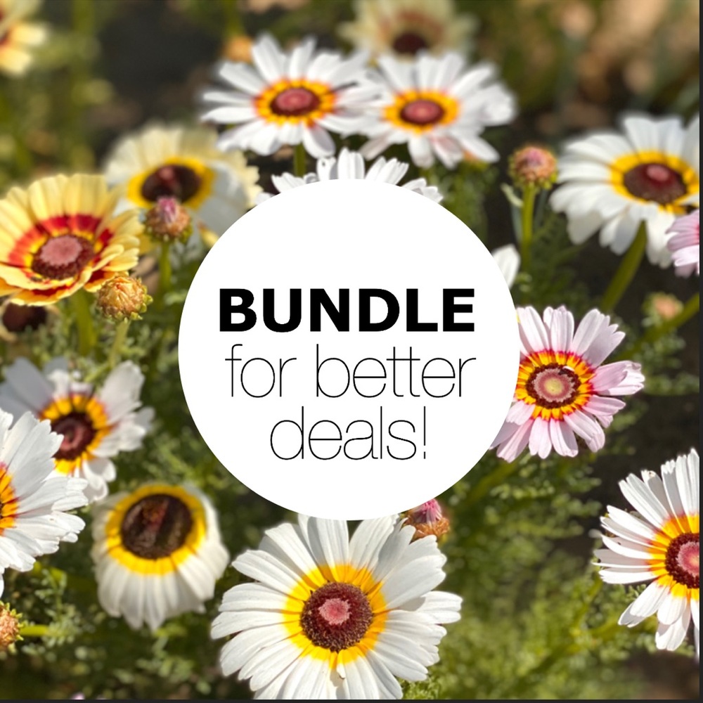 Bundle for better deals! 🌈
